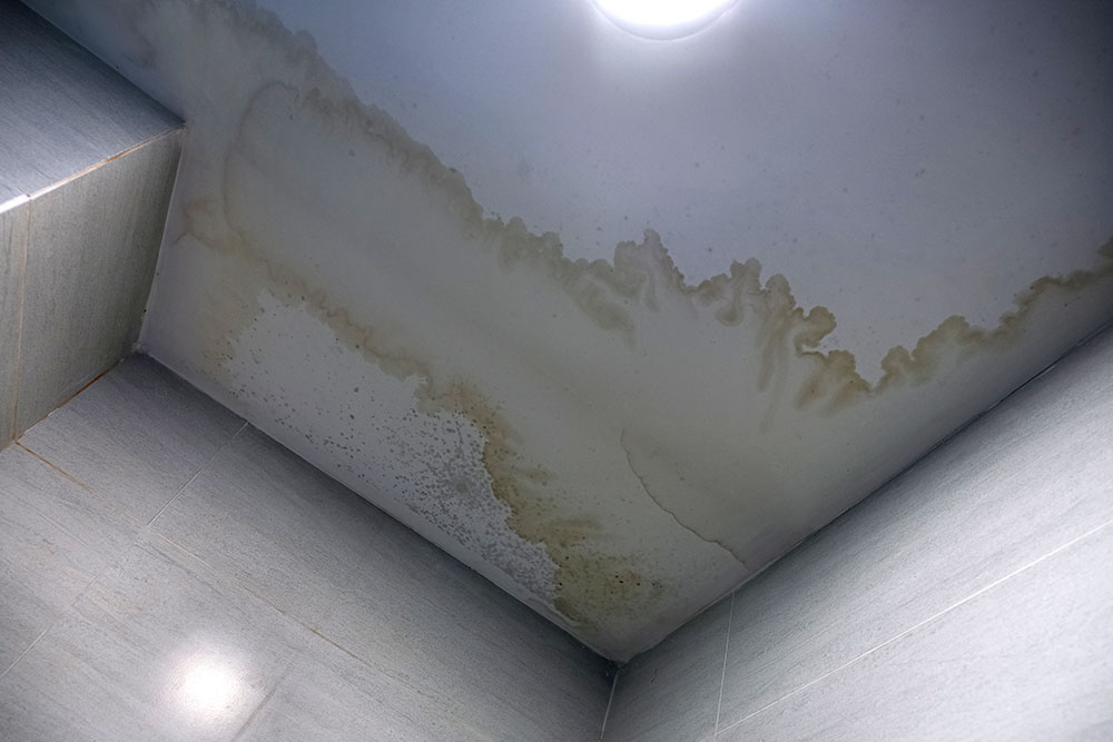 Water infiltration damage from roof leak